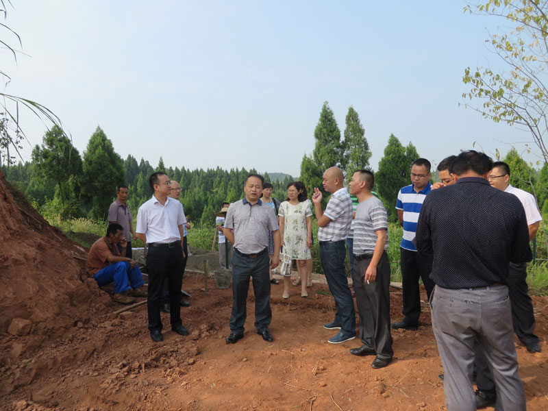 ����Э��ϯ����Ӳ���Ϫ�ֵ�����ɽ�幫·�������