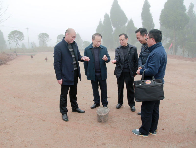 ����Э��ϯ����Ӳ���Ϫ�ֵ���ֳ��