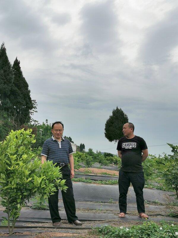 4��30�գ�����Э����ϯ��С��������ɽ������ɽ����ƶ���Ṥ��